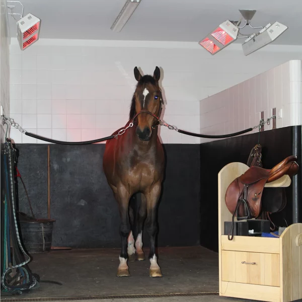 Ascot Horse Infrared Solarium